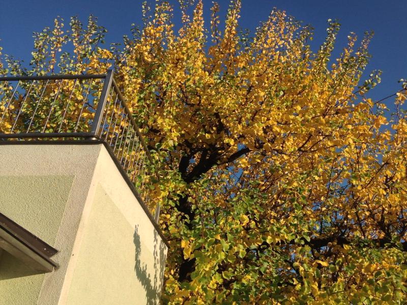 Ajo - Alte Donau Garden Flat - Self-check-in Vienne