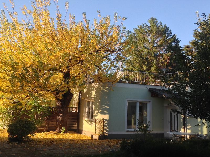 Ajo - Alte Donau Garden Flat - Self-check-in *