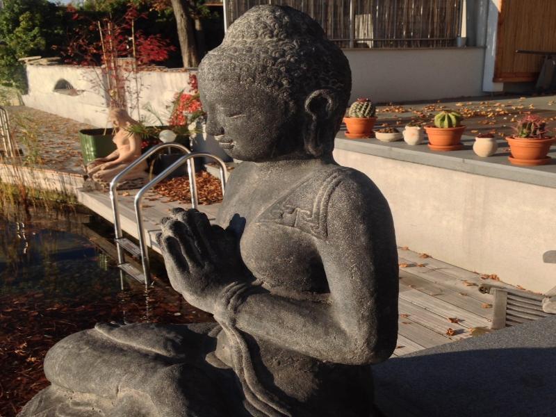 Ajo Garden - Contactless Check-in Appartement *