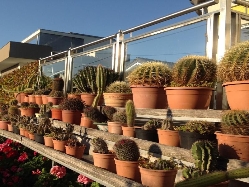 Ajo Garden - Contactless Check-in Appartement