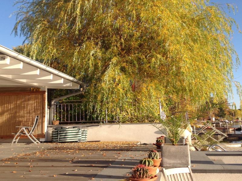 Ajo Garden - Contactless Check-in Appartement *