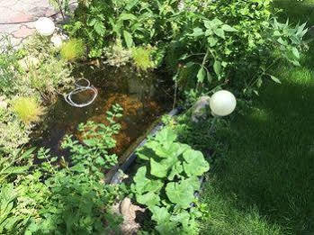 Ajo - Alte Donau Garden Flat - Self-check-in *