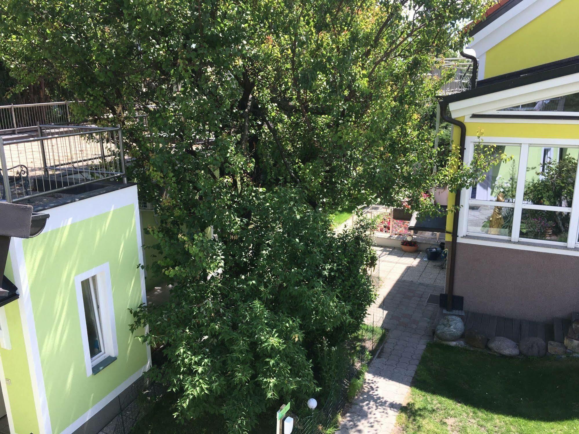 Apartamento Ajo - Alte Donau Garden Flat - Self-check-in
